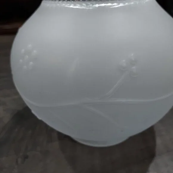 Lamp Shade Frosted Glass Ceiling Light Fixture Globe Stem Berries 3.25" Fit. - Picture 8 of 11